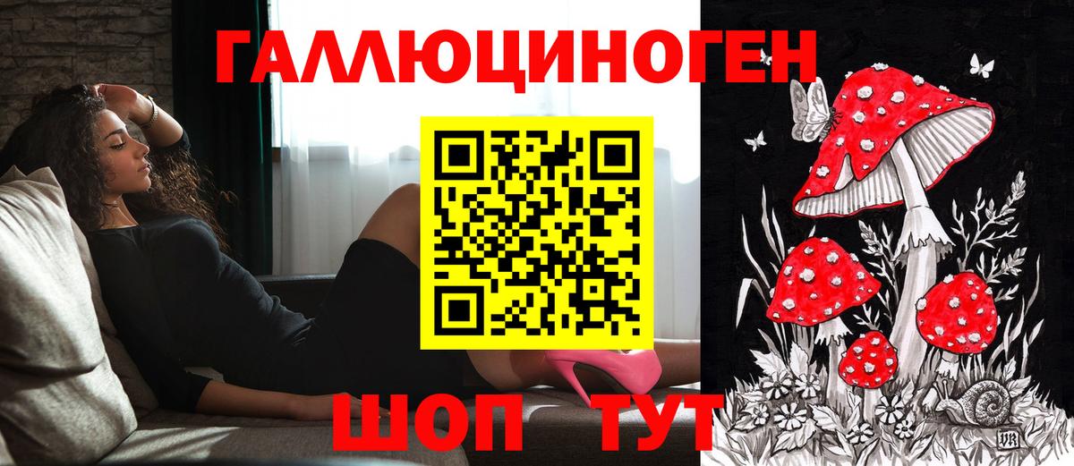 Псилоцибиновые грибы Psilocybe  Вход с VPN  Рузаевка  Галлюциногенные грибы мицелий 