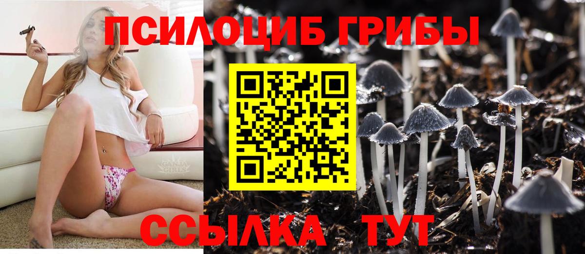 Псилоцибиновые грибы мицелий Рузаевка